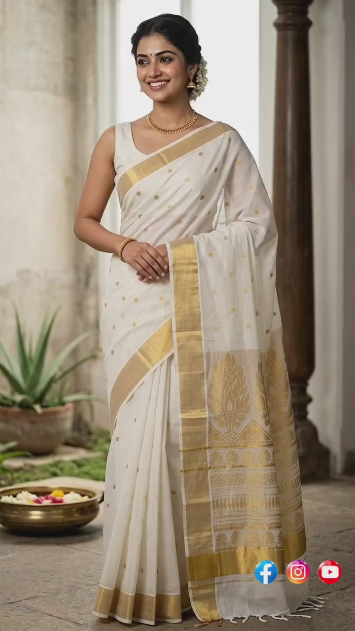 Rich Pallu pure cotton body full work saree Handloom replica