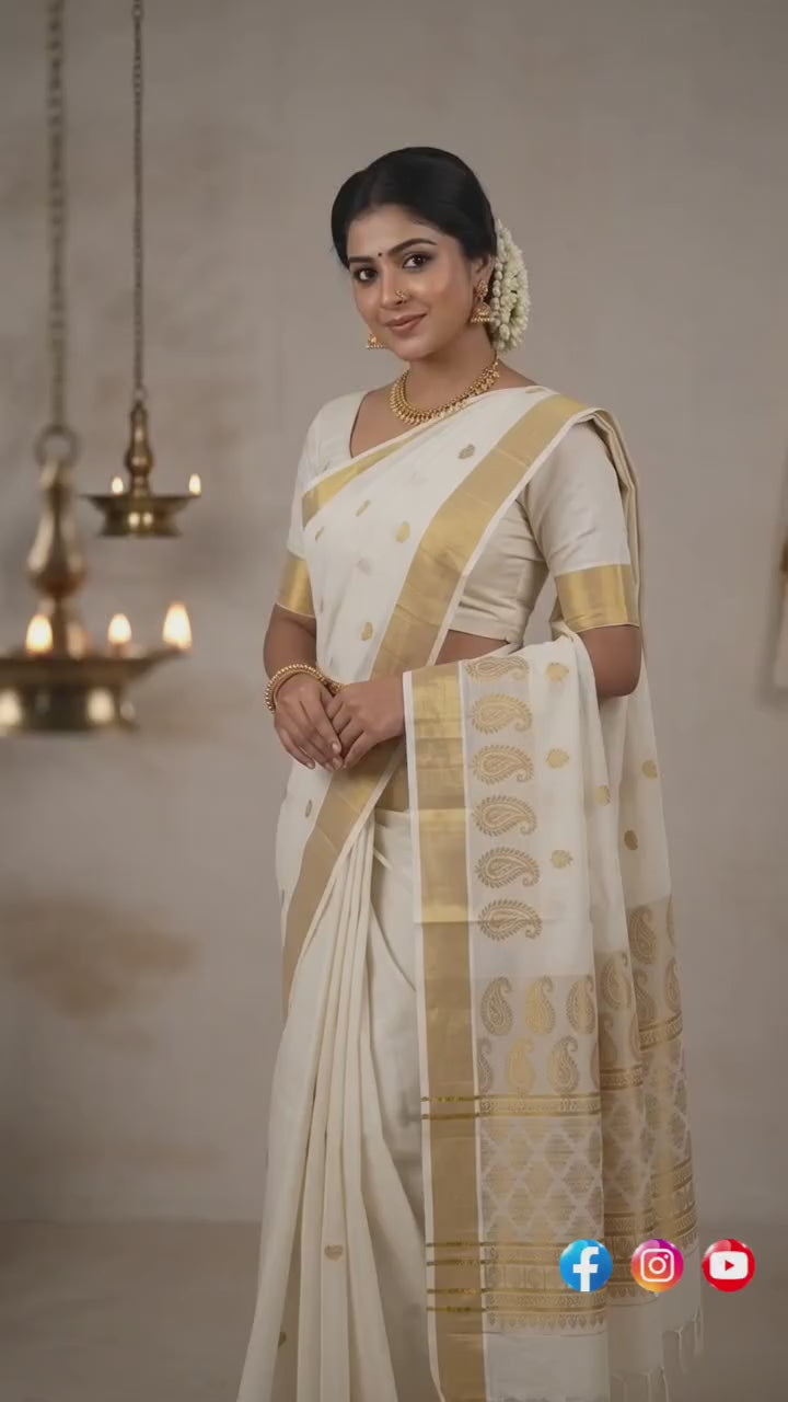 Rich Palu Mango Design Jacquard Saree With Blouse