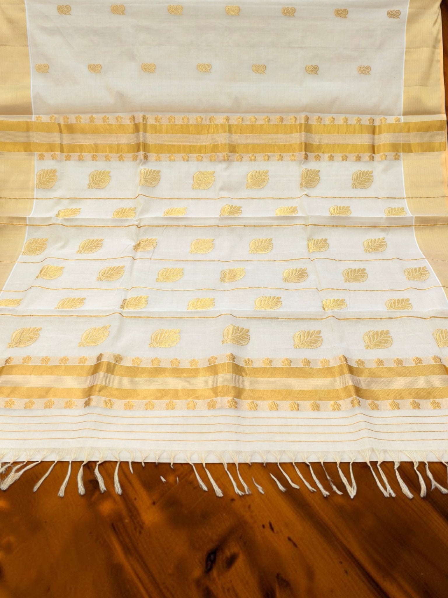Handloom Tissue Full body work with blouse / Handlooom