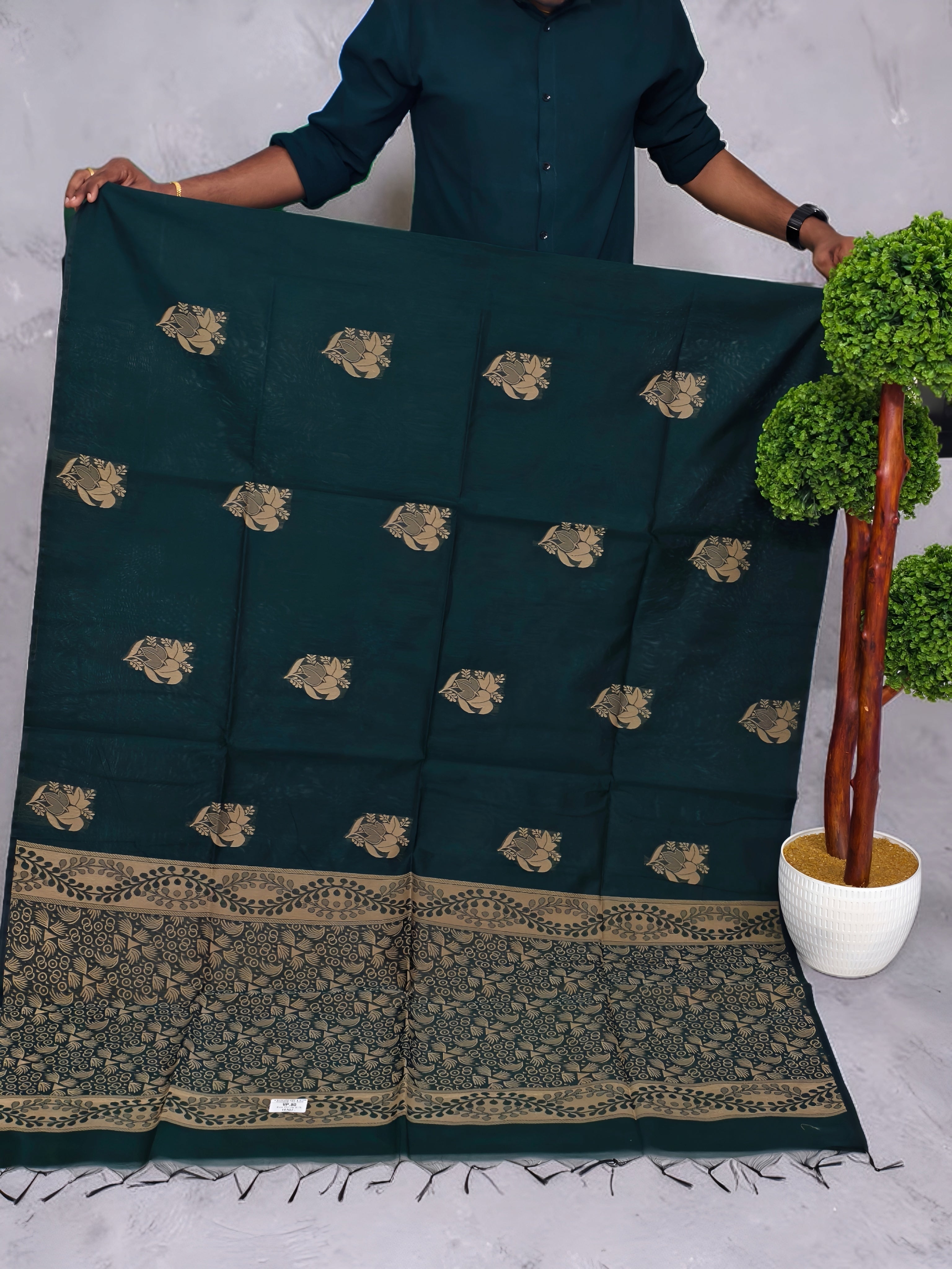 Pure Cotton Silk light weight Saree best for Summer_ office wear