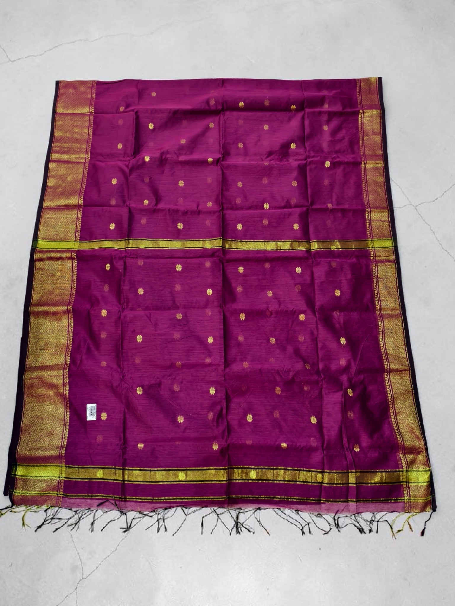 Kanchi Cotton Mul saree with grand rich quality with blouse